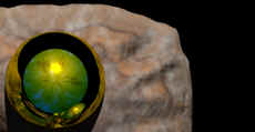 My Information