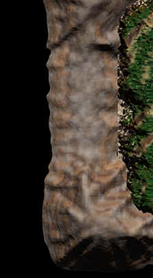 wpe152.jpg (9578 bytes)
